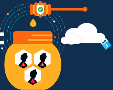 Show Advance Feature: Honeypot Picture for category Honeypot